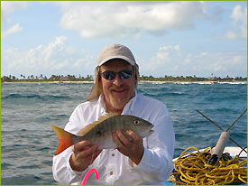 Snapper Snapper